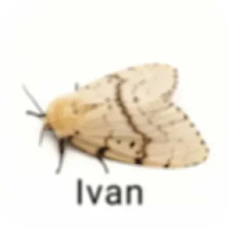 Sticker Всратые Стикеры  - @ShitStikers - 10