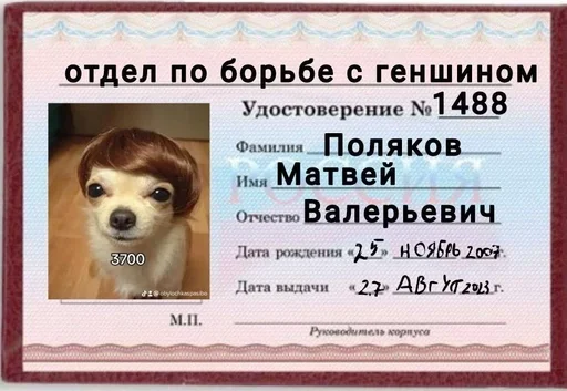 Залетай в @ShitStikers - 