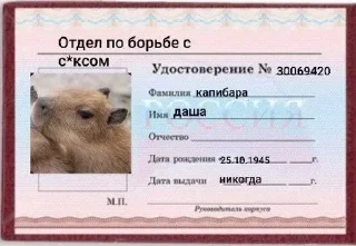 Sticker Залетай в @ShitStikers - 10