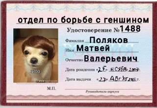 Sticker Залетай в @ShitStikers - 2