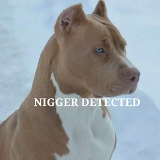 Стикер Shitbvll pack - 6