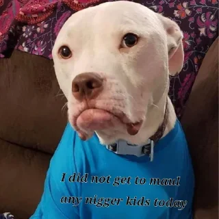 Стикер Shitbvll pack - 8