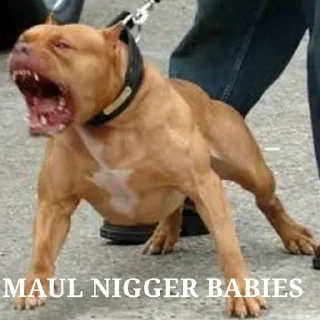 Стикер Shitbvll pack - 7