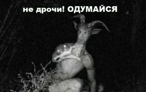 млекопитающее животное олень