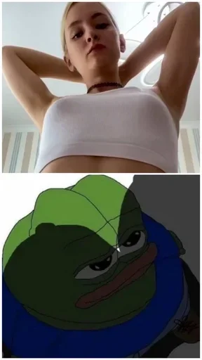 Sticker Shitpost1337 - 1