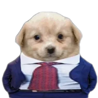 Sticker Фронзак стикерс - 4