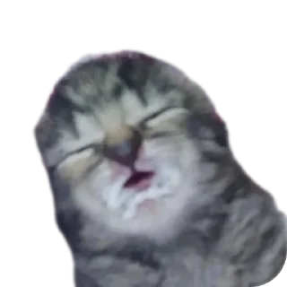 Sticker Фронзак стикерс - 3