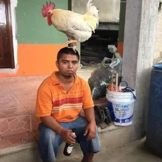 Sticker Shitpost - 0