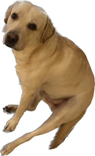 Стикер Shitshaker - 1