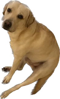 Sticker Shitshaker - 9