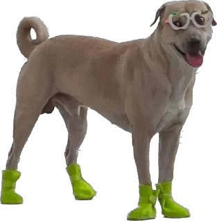 Sticker Shitshaker - 2