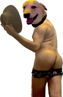 Sticker Shitshaker - 8