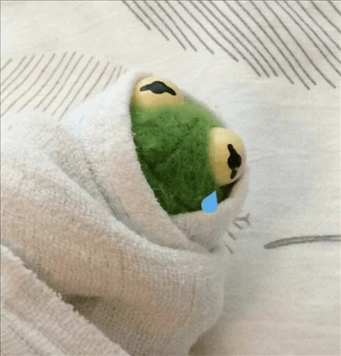 птица комнатный животное