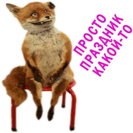 Шизанутая Лиса - 