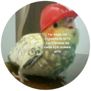 Sticker самый сок - 11