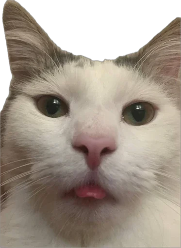 Sticker ShockyStyle_by_MoiStikiBot - 1