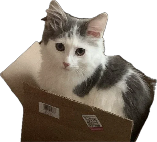 Sticker ShockyStyle_by_MoiStikiBot - 1