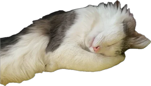 Стикер ShockyStyle_by_MoiStikiBot - 1