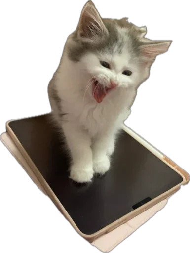 Sticker ShockyStyle_by_MoiStikiBot - 1