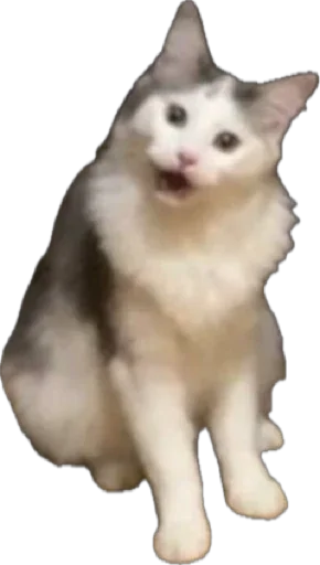 Стикер ShockyStyle_by_MoiStikiBot - 1