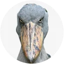 Sticker Shoebill - 1