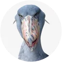 Sticker Shoebill - 6