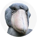 Sticker Shoebill - 3