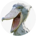 Sticker Shoebill - 7