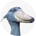 Sticker Shoebill - 2