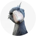 Sticker Shoebill - 5
