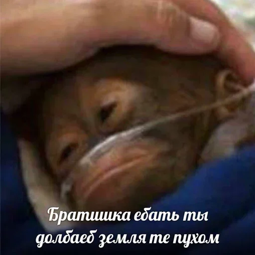 Sticker Шоколадка (@i_Love_Akame) - 8