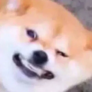 Стикер Tracker’s Shoober Pack - 3