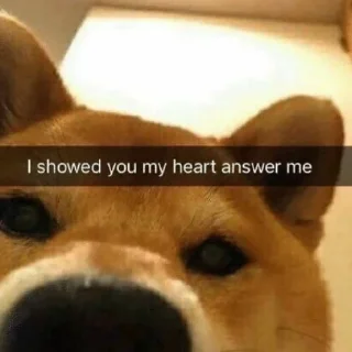 Стикер Tracker’s Shoober Pack - 10