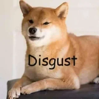 Стикер Tracker’s Shoober Pack - 5