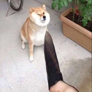 Стикер Tracker’s Shoober Pack - 2