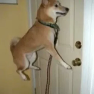 Стикер Tracker’s Shoober Pack - 8