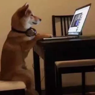 Стикер Tracker’s Shoober Pack - 11