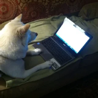 Стикер Tracker’s Shoober Pack - 7