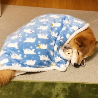 Стикер Tracker’s Shoober Pack - 1