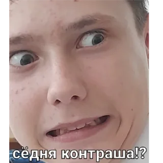 Sticker Ferma_gock - 1