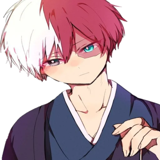 Shoto Todoroki @R666d1 - 