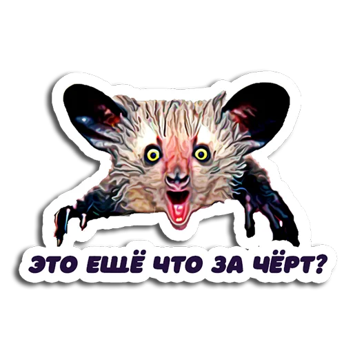 Shots_Ce - @ShotsCe - 