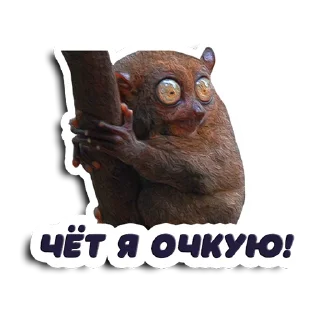 Стикер Shots_Ce - @ShotsCe - 5