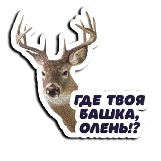 Стикер Shots_Ce - @ShotsCe - 3