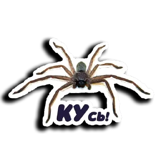 Стикер Shots_Ce - @ShotsCe - 10