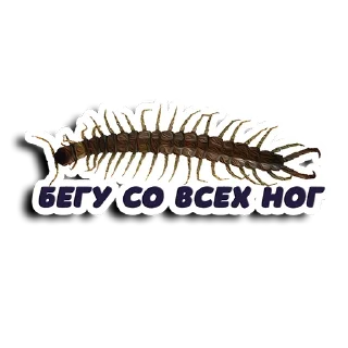 Стикер Shots_Ce - @ShotsCe - 0