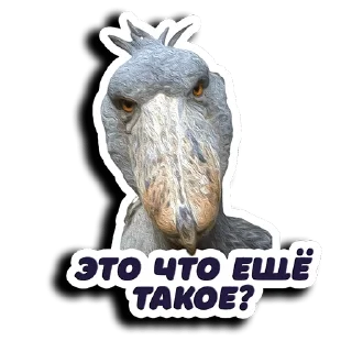 Стикер Shots_Ce - @ShotsCe - 9