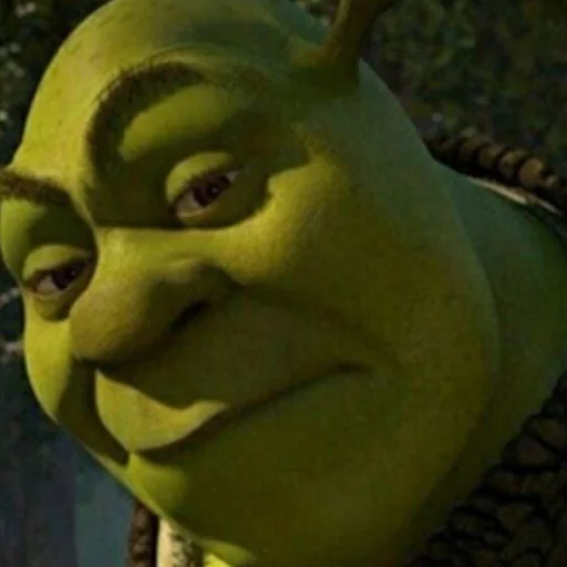 𝚂𝚑𝚛𝚎𝚔 @stikirstipo - 