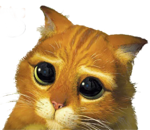 животное кошка домашняя кошка