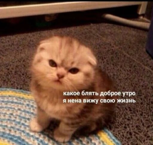 Стикер Ухх by @fStikBot - 4